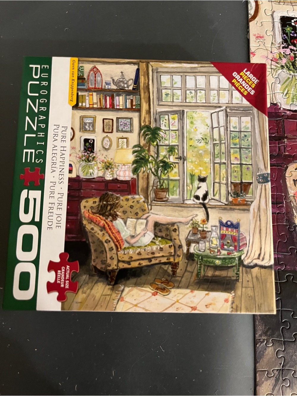 EuroGraphics 500-Piece Cozy Reading Room Puzzle - Multicolor